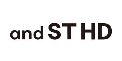 株式会社アンドエスティHD